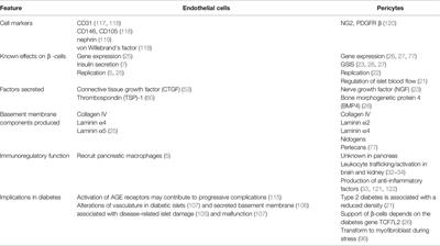 The Role of Vascular Cells in Pancreatic Beta-Cell Function